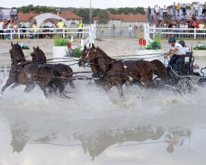 fei-driving-european-championship-four-in-hand-budapest-2021-hun_51423745591_o